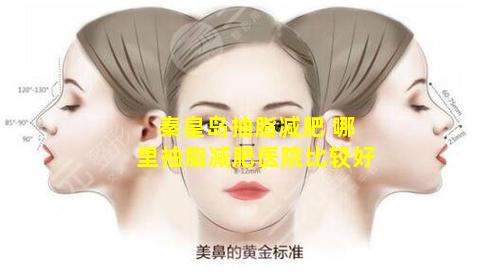 秦皇岛抽脂减肥 哪里抽脂减肥医院比较好